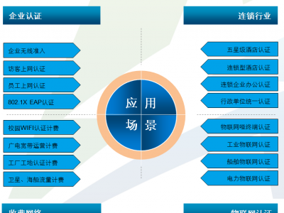 企業(yè)寬帶無線計(jì)費(fèi)系統(tǒng)的構(gòu)建與優(yōu)化：藍(lán)海卓越的最佳實(shí)踐